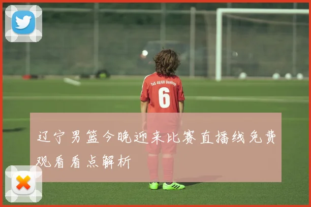 辽宁男篮今晚迎来比赛直播线免费观看看点解析