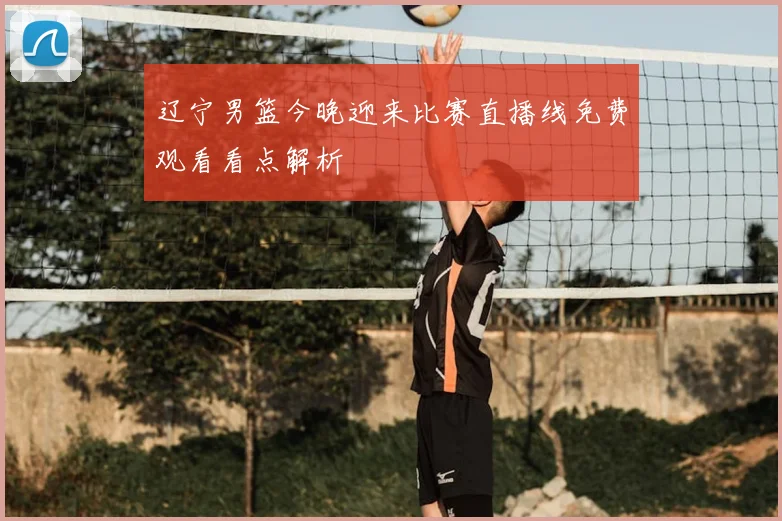 辽宁男篮今晚迎来比赛直播线免费观看看点解析