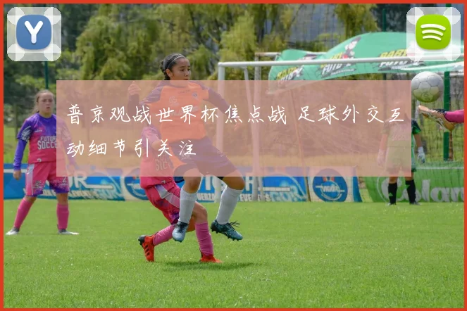 普京观战世界杯焦点战 足球外交互动细节引关注